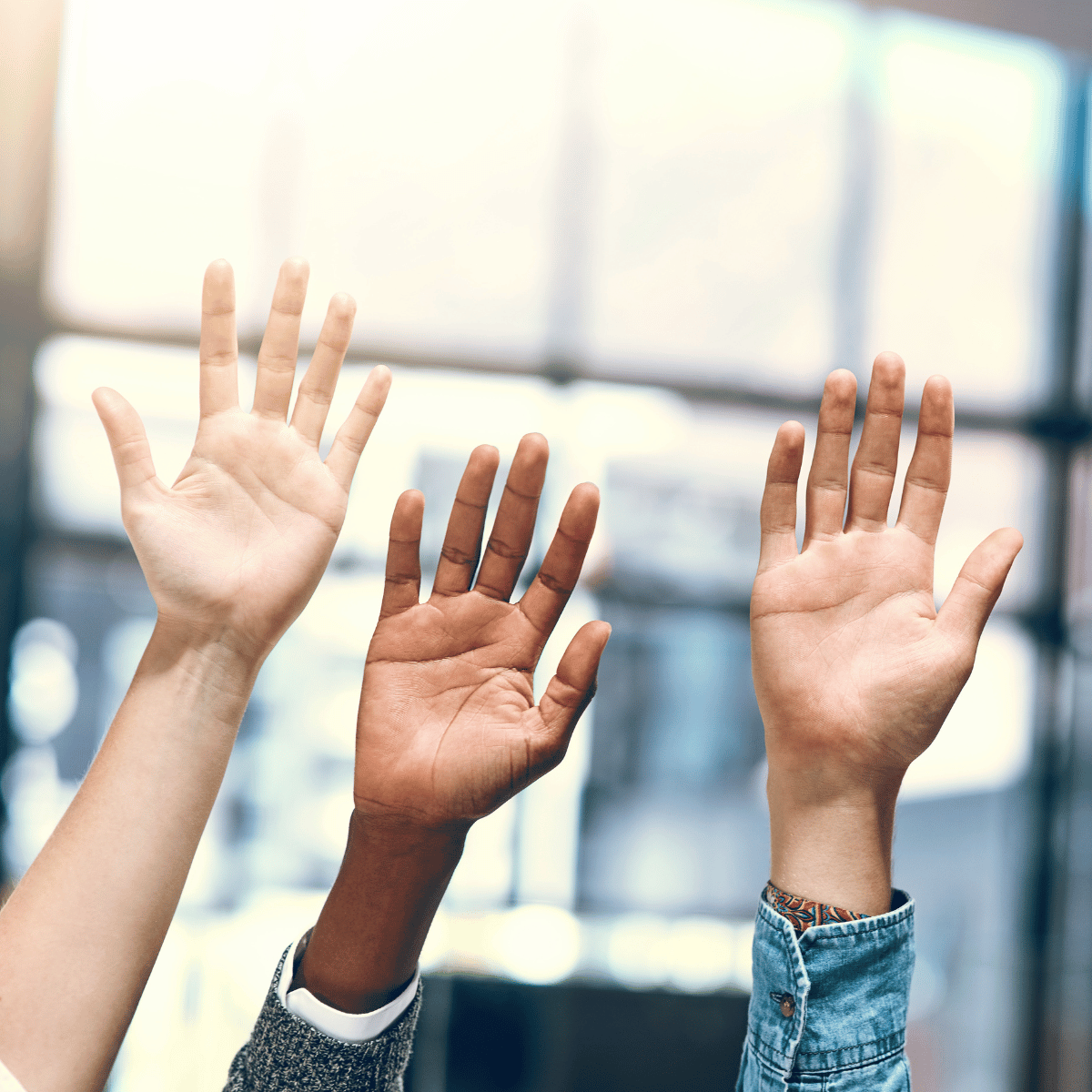 Hands raised for translation questions